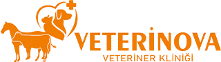biVet